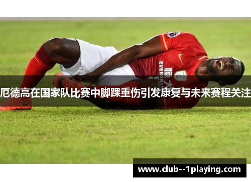 厄德高在国家队比赛中脚踝重伤引发康复与未来赛程关注